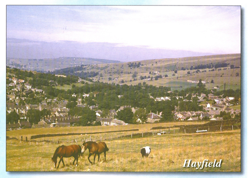 Hayfield postcards